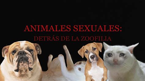 follando con animales|Vídeos sexuales con animales y películas porno de bestialismo。